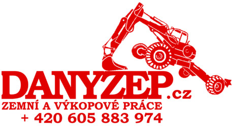 logo danyzep